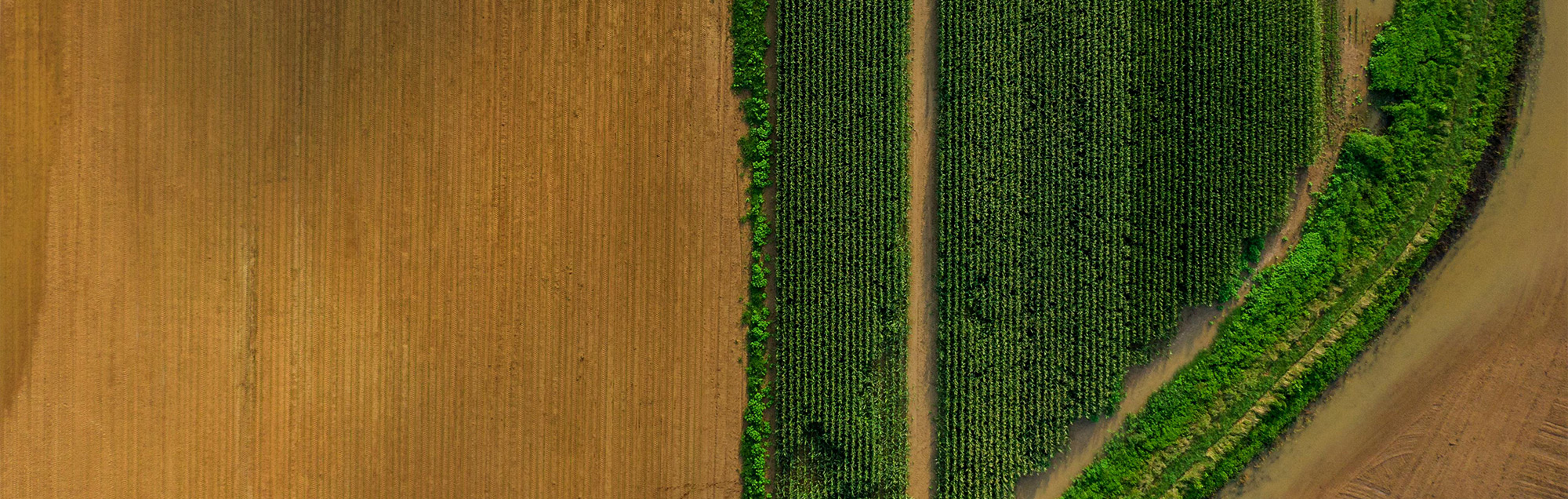 Your International <br />Taste Partner