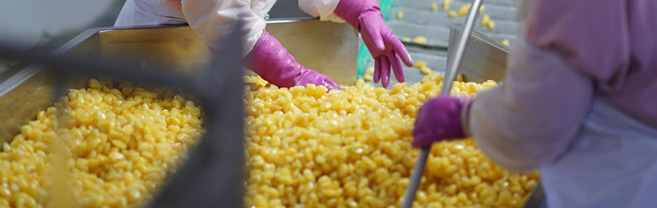 Your International<br /> Taste Partner